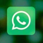 WhatsApp Business APK